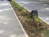 ������� ����� ��������: ���������� � ��������