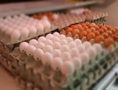 Цены на куриные яйца в Крыму выросли на 30%