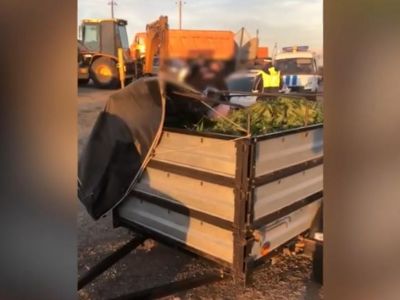 � ������ ���������� ���������� 21 ��������� ������� 