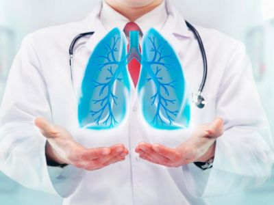 � �������� ������ ������������ ����������� ������� �������