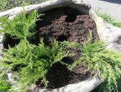 ������ ������������� ������� �� ����� ��� �  �������������