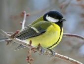 � ���������� �������!