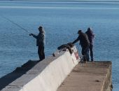 � �������� ����� �����