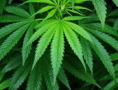 ��������� ������� �� ����������� � �������� �������