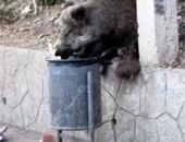 � ����� �������� �������-������������