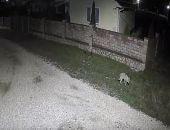 � ����� �� ����� ����� ����� ������������ � ����