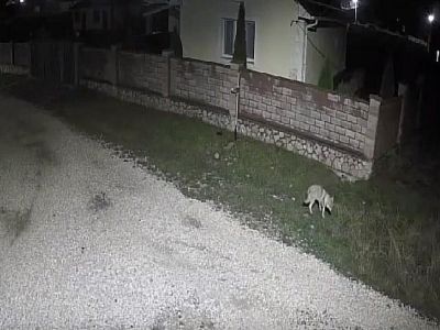 � ����� �� ����� ����� ����� ������������ � ����