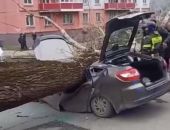 ���������� ������ ������ ����� ���� ������� � ������������