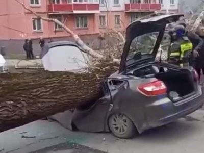 ���������� ������ ������ ����� ���� ������� � ������������