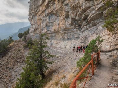 � ���� ����������� ����� ������ ����� �������� � ����