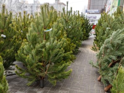 � ����� �� ��� ���� ��������� �� �������� �� ����� ����