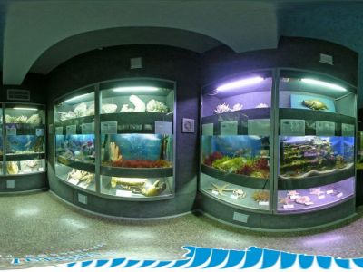 � ����������� ��-�� �������� ������� 800 ���������� �����-���������
