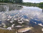 � ����� ���������� �������� ��� ����