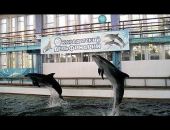 �� �������� ����� �������� �����������