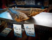 ���������� ������� �� ������� �������� �� ����� � �����