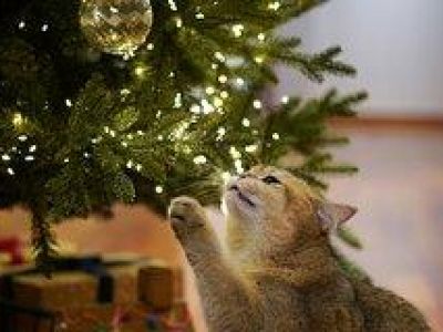 ���� � ��������� �������� �� ���������� ����