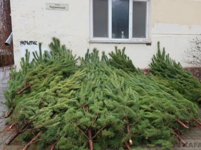 ��������: ��� ������ �� ������ ����