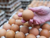 ���������� ������: ���� �� ���� ������ ��������� ����� ������ ����