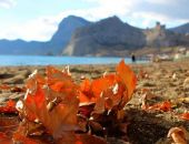 � ���� � ������������ ������ ������������ �����