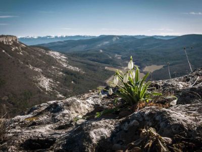 � ����� � ������ ���� ���������� ��������� ����������� 