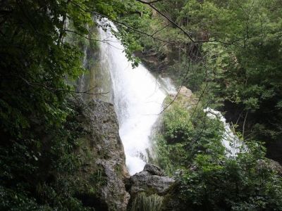� ����� ���������� ������ "�����" �������