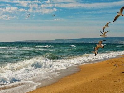 � ����� ����� �������, ������ ����� �������� ������