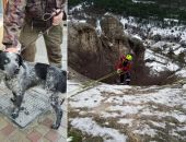Спасатели Крыма вытащили из ущелья охотничью собаку