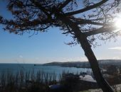 ����� �� �����!