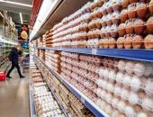 В Россию ввезены более 300 тысяч куриных яиц из Турции