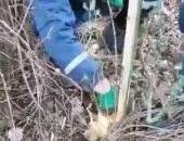 ���������� ��� ������ ����� � ��������