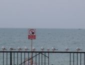 � ������� ����������, �� ���������