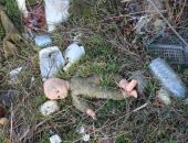 ������ �������� ��������?