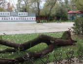 ��������, ����� 2023 ����: ������