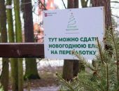 ���� � �������� ����� ���� �� �����������