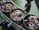 � ������ �������� �������� �������� ������ ���������