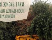 � ����� �� ���������� ����  ������������� ������������� �����