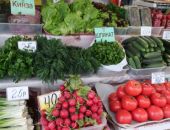 ���� �� ����� ��������:  �������� ��������, ������ � ������