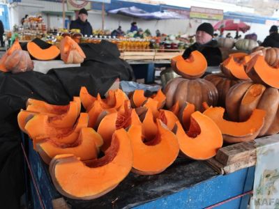 ���� �� ����� ��������:  �������� ��������, ������ � ������