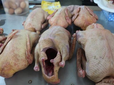 ���� �� ����� ��������:  �������� ��������, ������ � ������