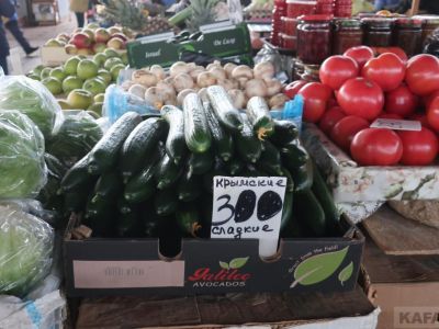 ���� �� ����� ��������:  �������� ��������, ������ � ������