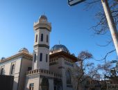 ���� ��������, ��������, ������� ��� ����������� � ���� ����