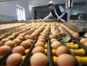 ����������� �������� � ������ 3,3 �������� ���