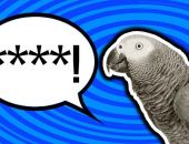 � �������������� ��������� ������ ������� �������� ����������