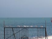 ��� ���� ������ �������