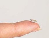 ���� ���� ��������� ��������: � ��� ����?