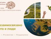 ������� �����-�������� ������ � ������� ������������!