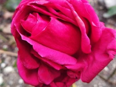 ����������� ����: � ���� ������� ����� ������ ������ ����