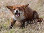 � ������� ���������� ����� ����, � ������� ����������� ���������