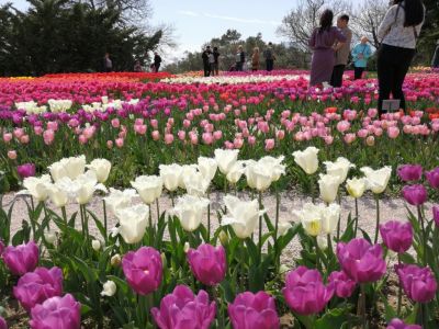 � ����� ������ 100 ����� ������ ������������ ������