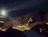 � ����� ��� ������� ������ ������������� � ��������� ����